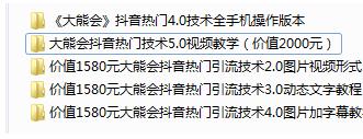 某高端赚钱项目：大熊会抖音热门技术2.0到5.0（全套视频课程）