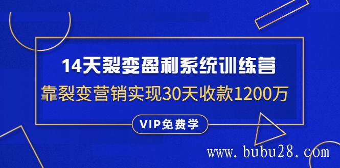 14天裂变盈利系统训练营:靠裂变营销实现30天收款1200万(无水印) 14天裂变盈利系统训练营:靠裂变营销实现30天收款1200万(无水印)