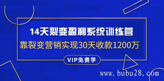 14天裂变盈利系统训练营：靠裂变营销实现30天收款1200万（无水印）