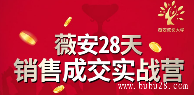 薇安28天销售成交实战营，5分钟成交3万，实现了月入近6位数的营