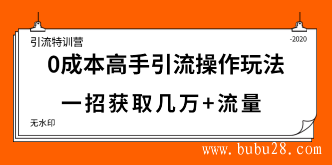 引流特训营：0成本高手引流操作玩法，一招获取几万+流量（5节视频课)无水印