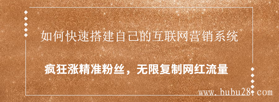 （13期）如何快速搭建自己的互联网营销系统，疯狂涨精准粉丝，无限复制网红流量