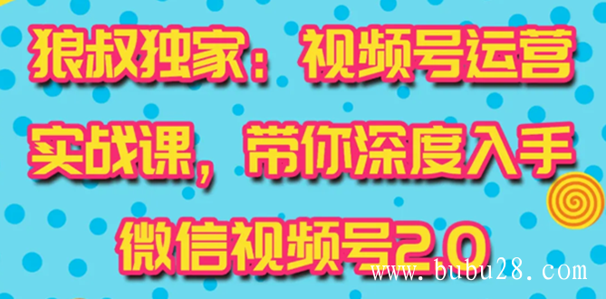 （102期）视频号运营实战课2.0，目前市面上最新最全玩法，快速吸粉吸金（10节视频）