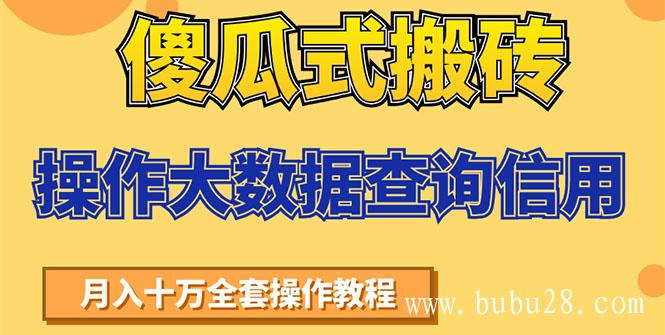 （119期）傻瓜式搬砖操作大数据查询信用赚钱方法：助你快速月入6万全套操作教程