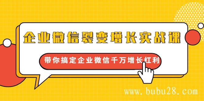 （237期）企业微信裂变增长实战课：带你搞定企业微信千万增长红利，新流量-新玩法