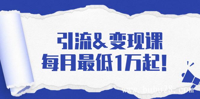 （309期）引流&变现课：分享一整套流量方法以及各个渠道收入，每月最低1万起！