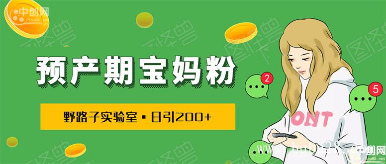 （313期）日引200+预产期宝妈，从预产期到K12教育持续转化...操作方法简单