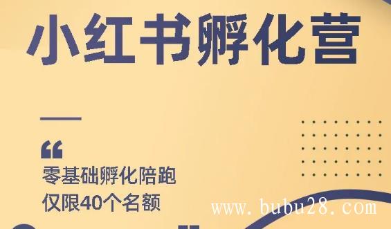 （353期）勇哥小红书撸金快速起量项目：教你如何快速起号获得曝光，做到月躺赚3000+