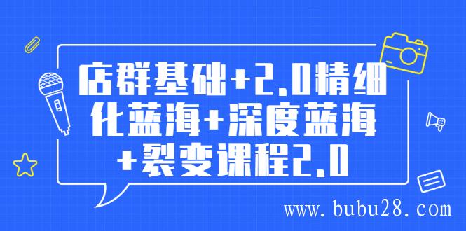 (397期)孤狼电商店群全套教程:店群基础+2.0精细化蓝海+深度蓝海+裂变课程2.0 (397期)孤狼电商店群全套教程:店群基础+2.0精细化蓝海+深度蓝海+裂变课程2.0