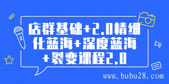 （397期）孤狼电商店群全套教程：店群基础+2.0精细化蓝海+深度蓝海+裂变课程2.0