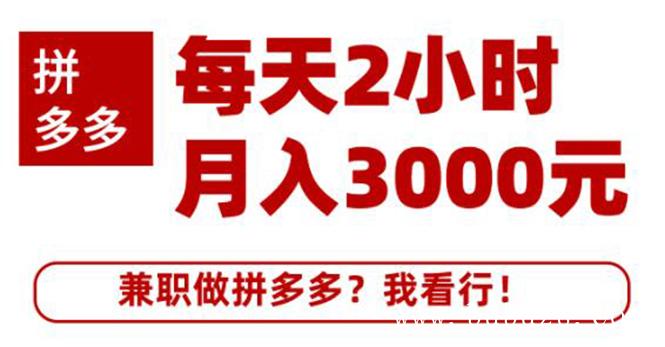 （453期）搜外网·拼多多副业课程，每天2小时月入3000元 学习这门课程真的能赚钱