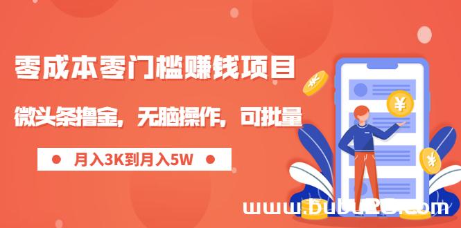 （512期）零成本零门槛月入过万项目，微头条撸金，无脑操作，可批量【视频课程】