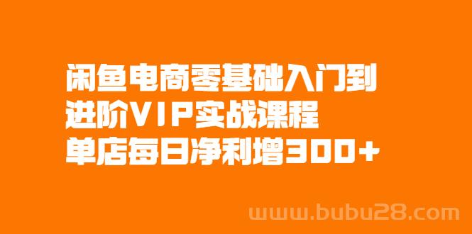 （578期）闲鱼电商零基础入门到进阶VIP实战课程，单店每日净利增300+